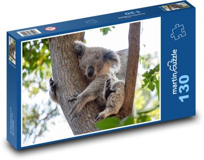 Koala - teddy bear, animal - Puzzle 130 pieces, size 28.7x20 cm 