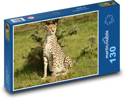 Cheetah - wildlife, Africa - Puzzle 130 pieces, size 28.7x20 cm 