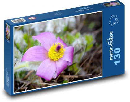 Koniklec - nachový květ, květina - Puzzle 130 dílků, rozměr 28,7x20 cm