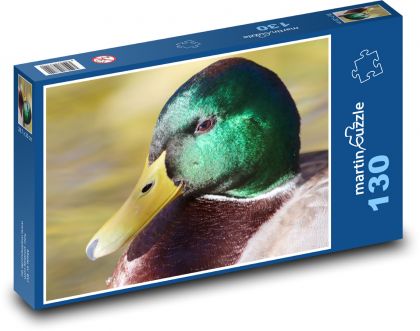 Wild duck - duck, water bird - Puzzle 130 pieces, size 28.7x20 cm 