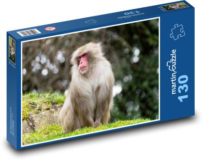 Opice - savec, zoo - Puzzle 130 dílků, rozměr 28,7x20 cm