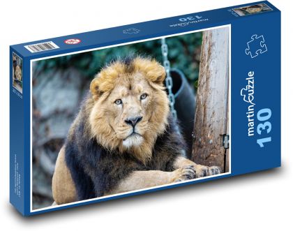 Asijský lev - savec, zvíře - Puzzle 130 dílků, rozměr 28,7x20 cm