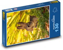 Králík - hlodavec, zvíře Puzzle 130 - 28,7x20 cm