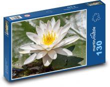 Kvetoucí leknín - rostlina, voda Puzzle 130 dílků - 28,7 x 20 cm