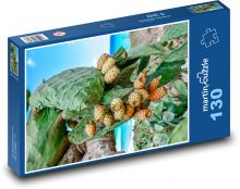 Opuncie - kaktus, ovoce Puzzle 130 dílků - 28,7 x 20 cm