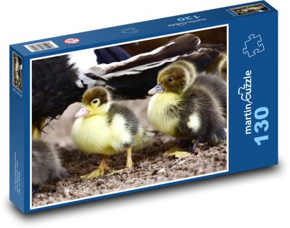 Wild ducks - chicks, birds - Puzzle 130 pieces, size 28.7x20 cm 