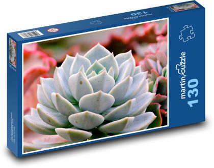 Kaktus - sukulent, rastlina - Puzzle 130 dielikov, rozmer 28,7x20 cm 