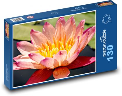 Lekná - vodná rastlina, kvetina - Puzzle 130 dielikov, rozmer 28,7x20 cm 