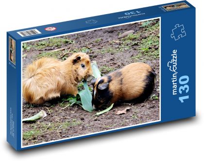 Peruánská morčata - domácí zvířata, hlodavci - Puzzle 130 dílků, rozměr 28,7x20 cm