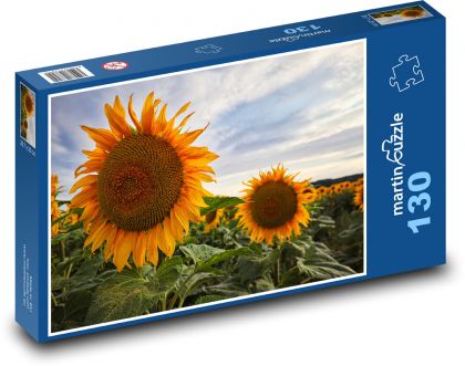 Sunflowers - flower, nature - Puzzle 130 pieces, size 28.7x20 cm 