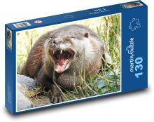 Vydra - voľne žijúce zviera, predátor Puzzle 130 dielikov - 28,7 x 20 cm 