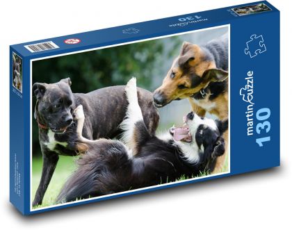 Border kólia - hranie psov, zvierat - Puzzle 130 dielikov, rozmer 28,7x20 cm 