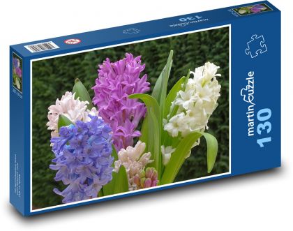 Hyacint - jarní květiny, rostlina - Puzzle 130 dílků, rozměr 28,7x20 cm