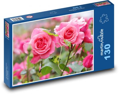Rosenrosa - Blume, Pflanze - Puzzle - 130 Teile