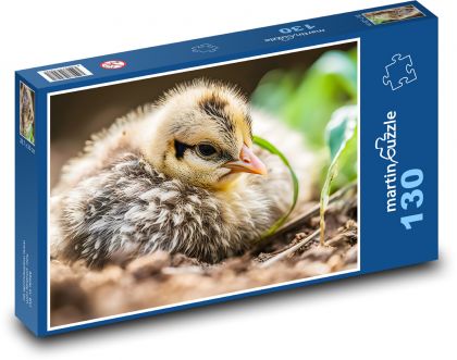 Pták - kuře, mládě - Puzzle 130 dílků, rozměr 28,7x20 cm