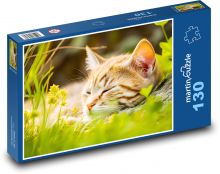 Śpiący kot - młode, zwierzę Puzzle 130 elementów - 28,7x20 cm