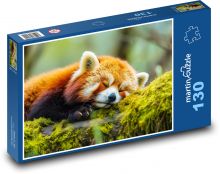 Spící panda - zvíře, les Puzzle 130 dílků - 28,7 x 20 cm