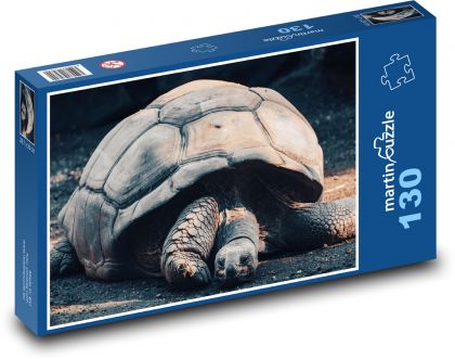 Galapagos giant turtle - reptile, animal - Puzzle 130 pieces, size 28.7x20 cm 