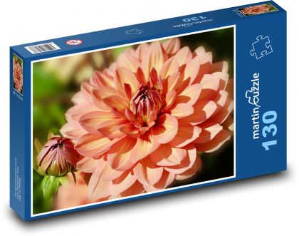 Jiřina - Blume, Knospen - Puzzle - 130 Teile