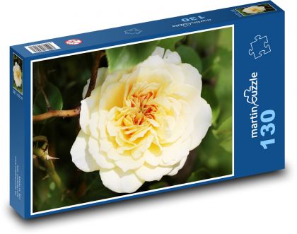 Žltá ruža - kvet, rastlina - Puzzle 130 dielikov, rozmer 28,7x20 cm 