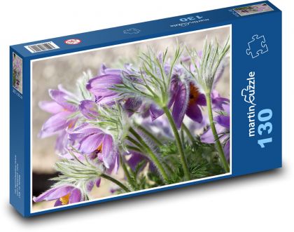 Koniklec - fialová květina, rostlina - Puzzle 130 dílků, rozměr 28,7x20 cm