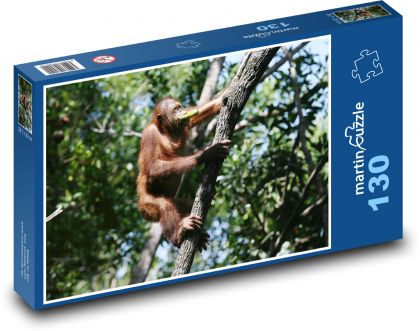 Orangutan - małpa, wspinaczka na drzewo - Puzzle 130 elementów, rozmiar 28,7x20 cm