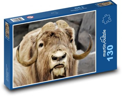 Pižmo - rohy, zviera - Puzzle 130 dielikov, rozmer 28,7x20 cm 