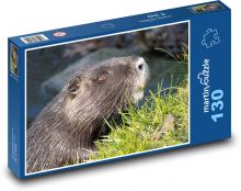 Nutria - Wassertier, Bach Puzzle 130 Teile - 28,7x20 cm