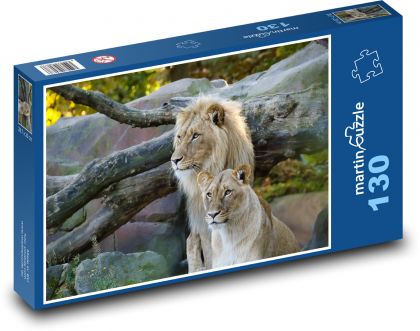 Big cats - lion, lioness - Puzzle 130 pieces, size 28.7x20 cm 