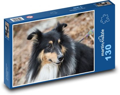 Trojfarebný Shetlandský ovčiak - pes, európske plemeno - Puzzle 130 dielikov, rozmer 28,7x20 cm 