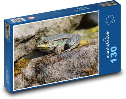 Frog - amphibian, animal - Puzzle 130 pieces, size 28.7x20 cm 