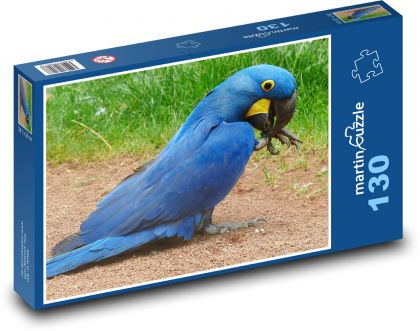 Blue parrot - bird, animal - Puzzle 130 pieces, size 28.7x20 cm 