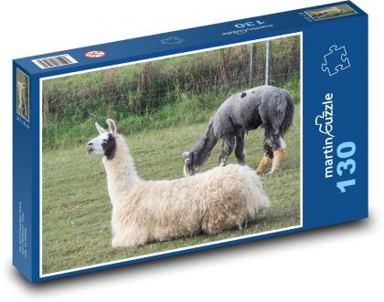 Lama - animal, pasture - Puzzle 130 pieces, size 28.7x20 cm 