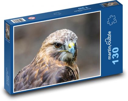 Europäischer Bussard - Raubtier, Vogel - Puzzle - 130 Teile