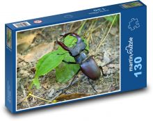 Roháč - chrobák, hmyz Puzzle 130 dielikov - 28,7 x 20 cm 