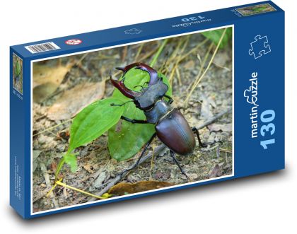 Roháč - chrobák, hmyz - Puzzle 130 dielikov, rozmer 28,7x20 cm 