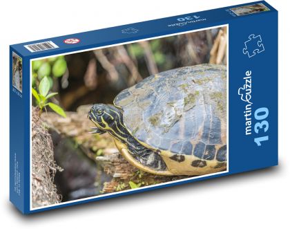 Turtle - reptile, animal - Puzzle 130 pieces, size 28.7x20 cm 