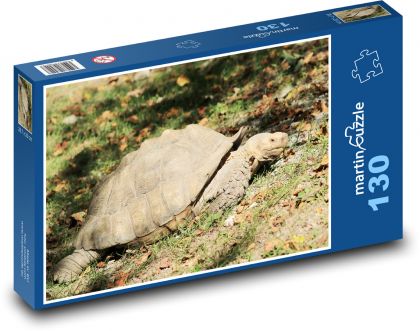 Korytnačka - plaz, zviera - Puzzle 130 dielikov, rozmer 28,7x20 cm 