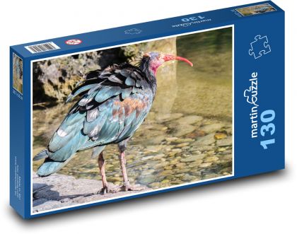 Ibis - pták, peří - puzzle 130 dílků