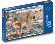 Ryś - duży kot, zwierzę Puzzle 130 elementów - 28,7x20 cm