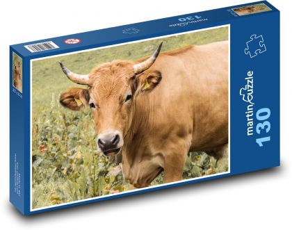 Kráva - rohy, zvíře - puzzle 130 dílků