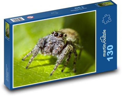 Pavouk - hmyz, zvíře - Puzzle 130 dílků, rozměr 28,7x20 cm