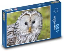 Šedá sova - pták, zvíře Puzzle 130 dílků - 28,7 x 20 cm