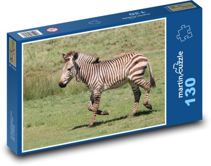 Zebra - zvíře, zoo - Puzzle 130 dílků, rozměr 28,7x20 cm