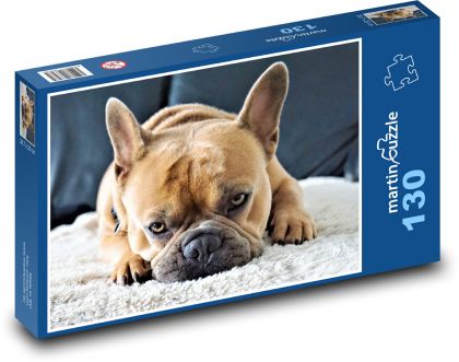 Francúzsky buldog - pes, domáce zviera - Puzzle 130 dielikov, rozmer 28,7x20 cm 