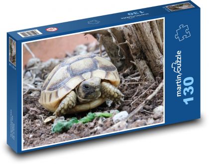 Želva - plaz, zvíře - Puzzle 130 dílků, rozměr 28,7x20 cm