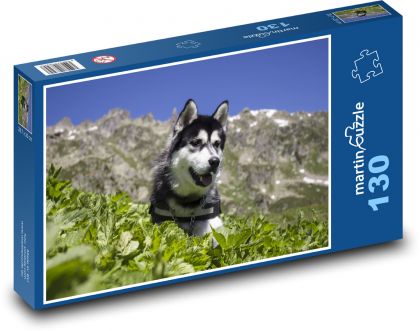 Sibiřský husky - pes, mazlíček - Puzzle 130 dílků, rozměr 28,7x20 cm