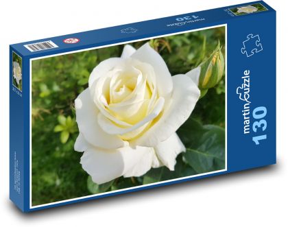 Bílá růže - květina, zahrada - Puzzle 130 dílků, rozměr 28,7x20 cm