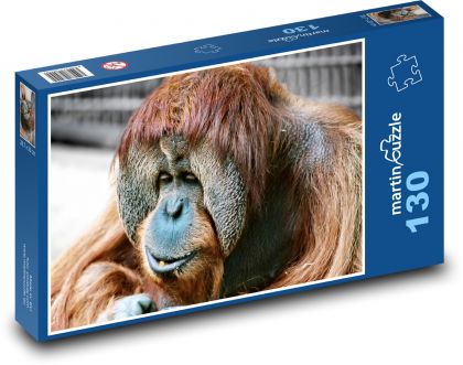 Małpa - orangutan, zwierzę - Puzzle 130 elementów, rozmiar 28,7x20 cm