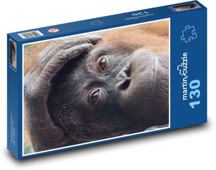 Orangutan - primát, zvíře - Puzzle 130 dílků, rozměr 28,7x20 cm